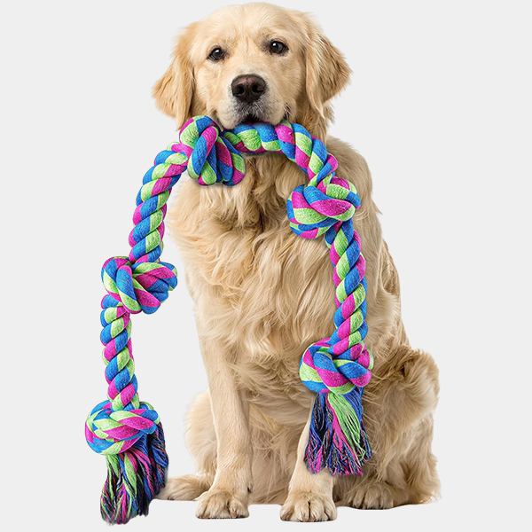 0cdcc91c-7973-4c50-933d-167e47a1dd7e