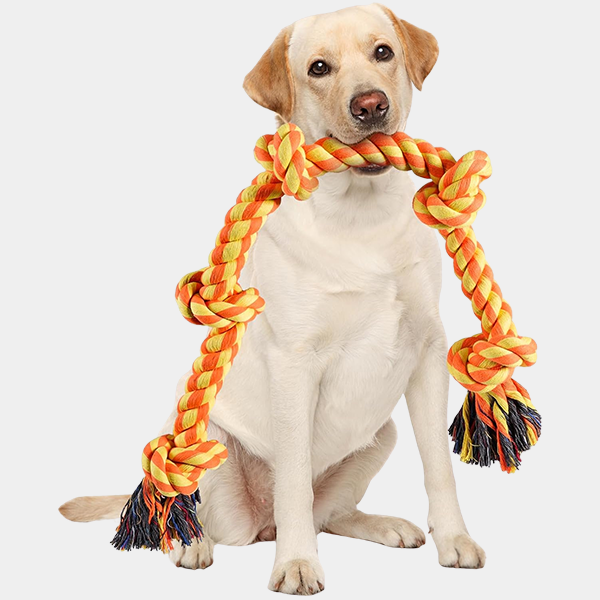 28199000-ce98-488f-86ed-fb0b159586fb