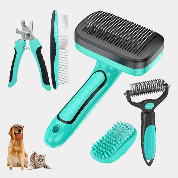 52474ece-a81c-4558-944b-93659806f954