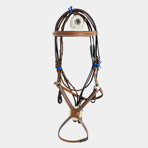 576674bb-a4a0-4279-b7c1-6810f4e8c0fe