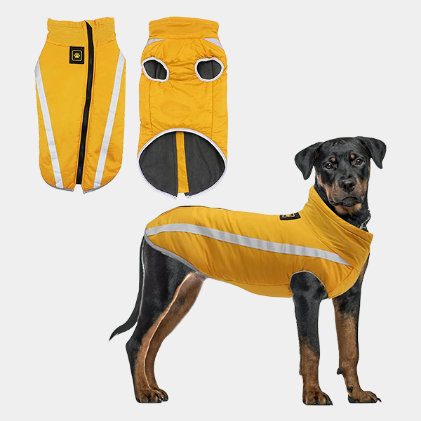 b263a7c4-ae32-464c-9ac0-8ca6c8642457