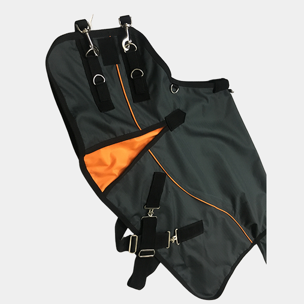 ee0e798d-1934-410d-9594-8077f16550b9