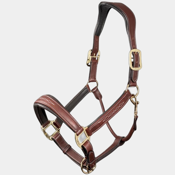 1b457824-6136-4384-bcda-518ddbdea3d7