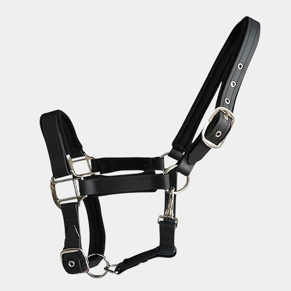 374429da-ab39-4a25-a1ba-f5d403499767