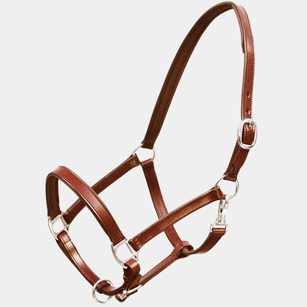 50ca0e11-7dbc-4bfc-94b6-88fe6080d752