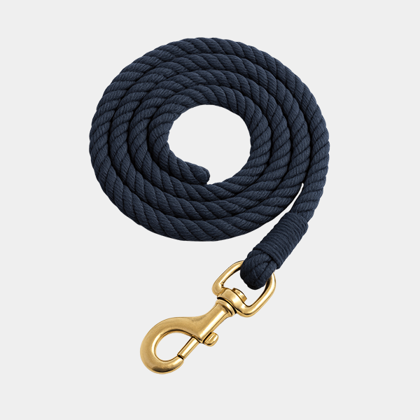 e66aebd2-4e08-46ed-9cf0-d73eb846d3c7