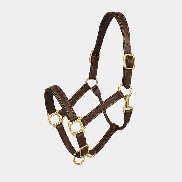 f00974ee-cf75-4bab-add3-58fd7e181c9e